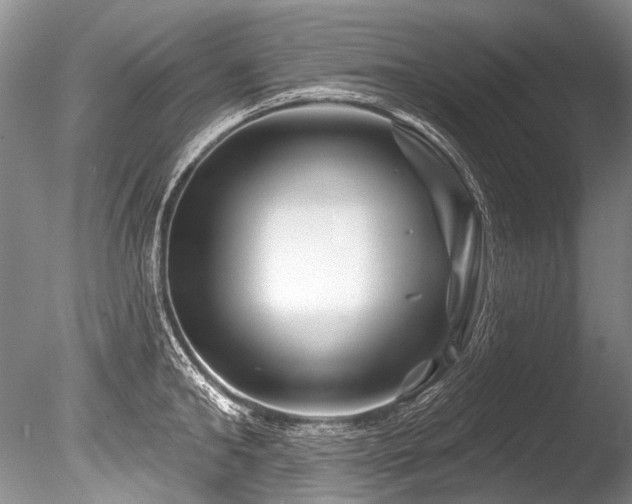 X0000086320902200703301214