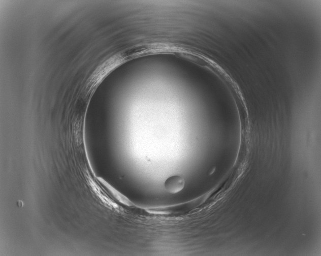 X0000086320905200703301214