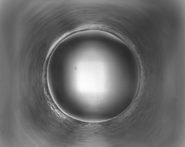 X0000086320912200703301214