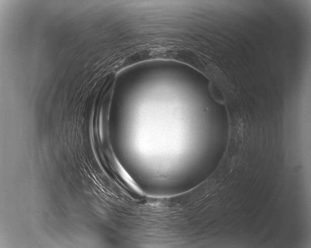 X0000086320914200703301213