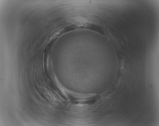 X0000086320916200703301213