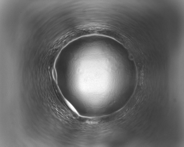 X0000086320917200703301214