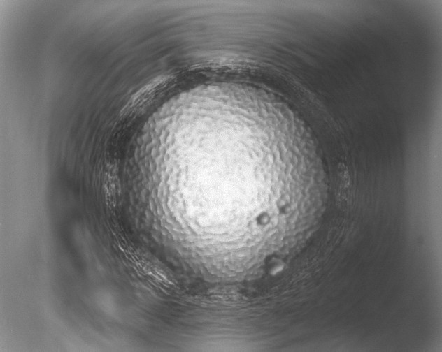 X0000086320918200703301214
