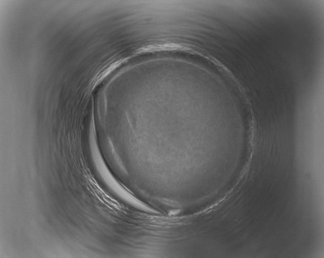 X0000086320921200703301214