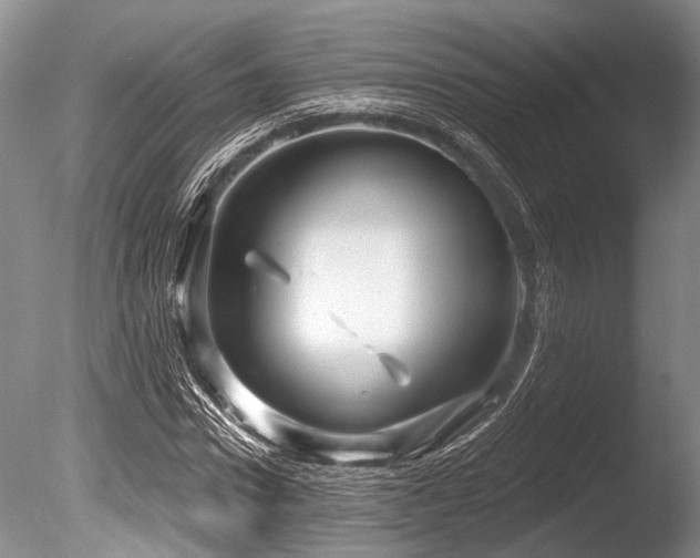 X0000086320922200703301214