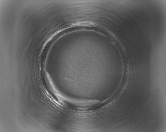 X0000086320923200703301214
