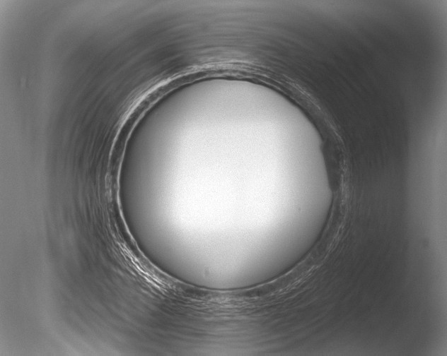 X0000086320924200703301214