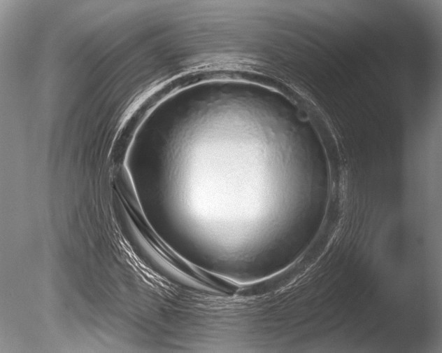 X0000086320925200703301214
