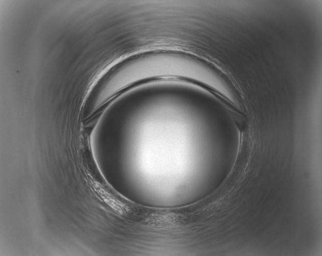 X0000086320926200703301214