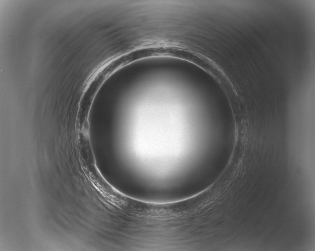 X0000086320927200703301214