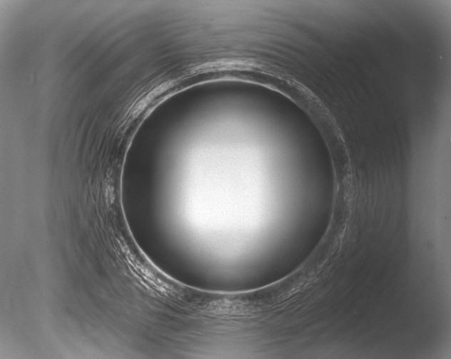 X0000086320929200703301214