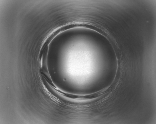 X0000086320934200703301214