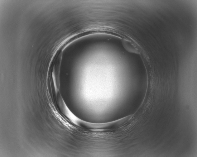 X0000086320940200703301214