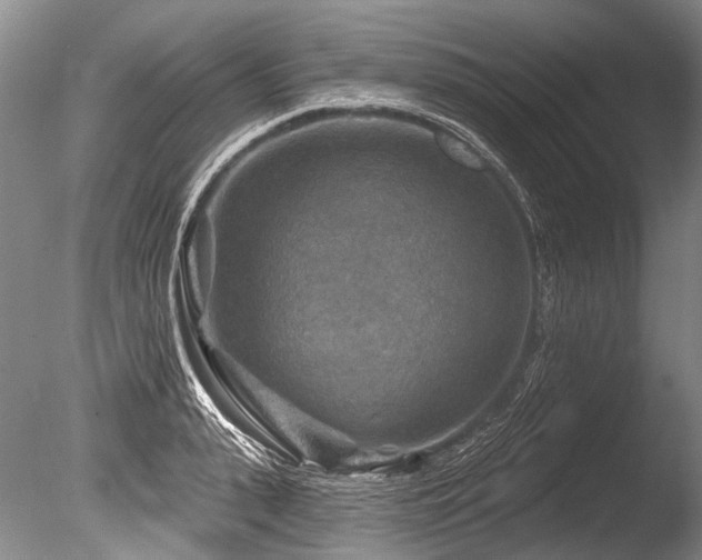 X0000086320943200703301214