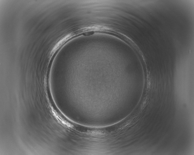 X0000086320946200703301214
