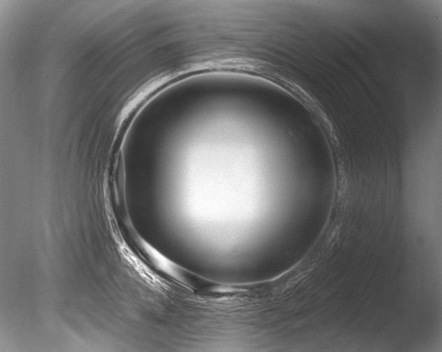 X0000086320952200703301214