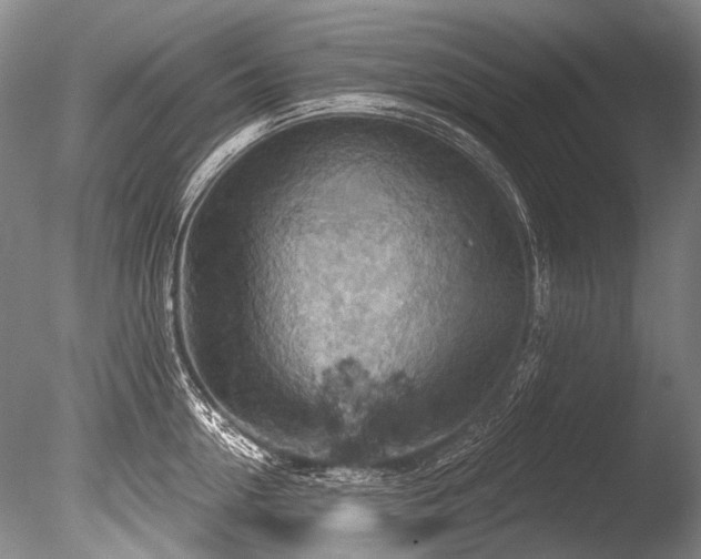 X0000086320954200703301214