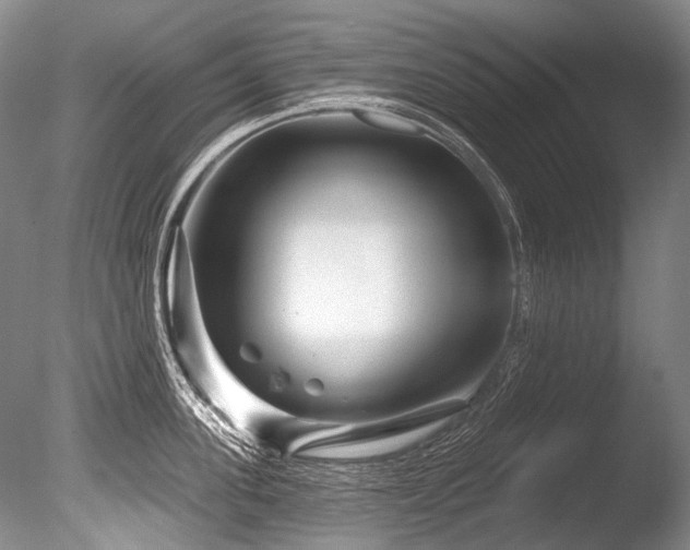 X0000086320955200703301214