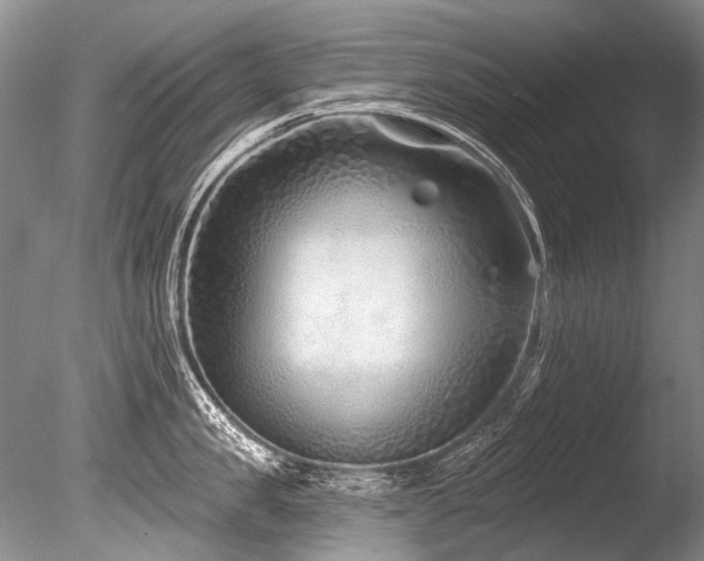 X0000086320957200703301214