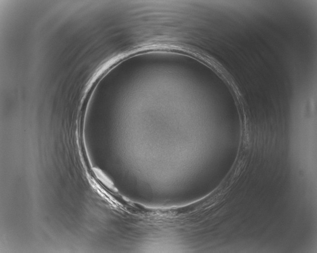 X0000086320958200703301214