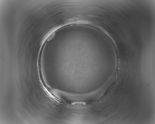 X0000086320959200703301214