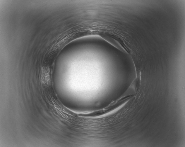 X0000086320963200703301213