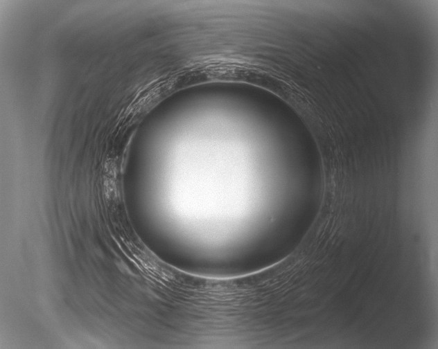 X0000086320964200703301213