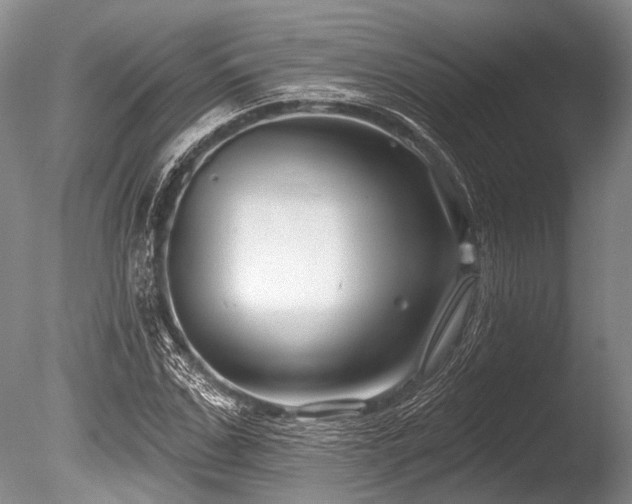 X0000086320971200703301213