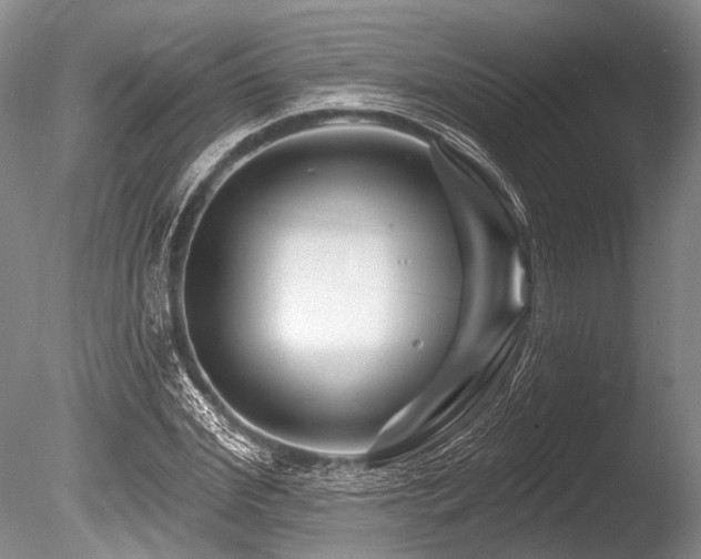 X0000086320972200703301213
