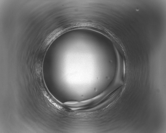 X0000086320985200703301213