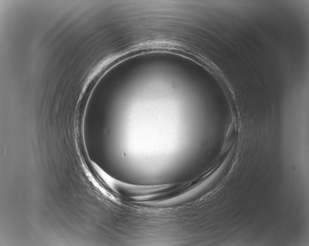 X0000086320989200703301213