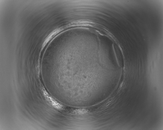 X0000086320994200703301213