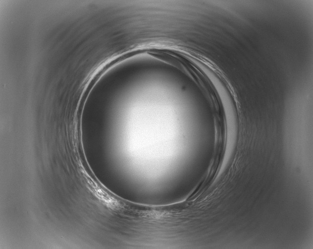 X0000086320996200703301213