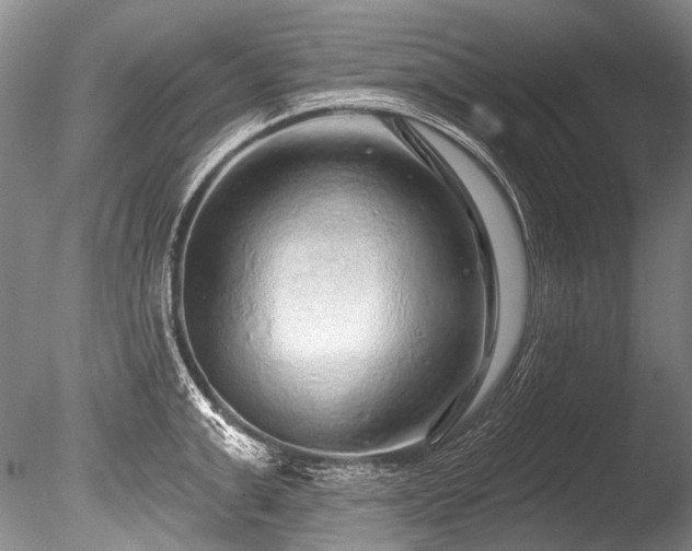 X0000086320999200703301213
