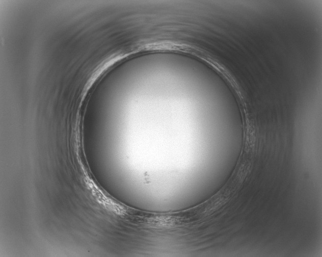 X0000086321000200703301213
