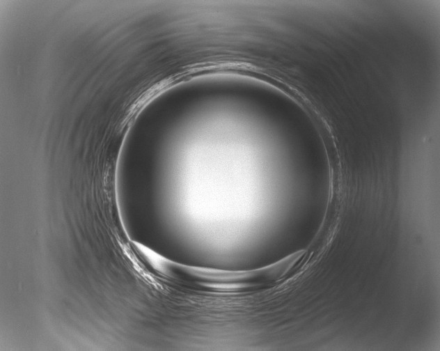 X0000086321001200703301213