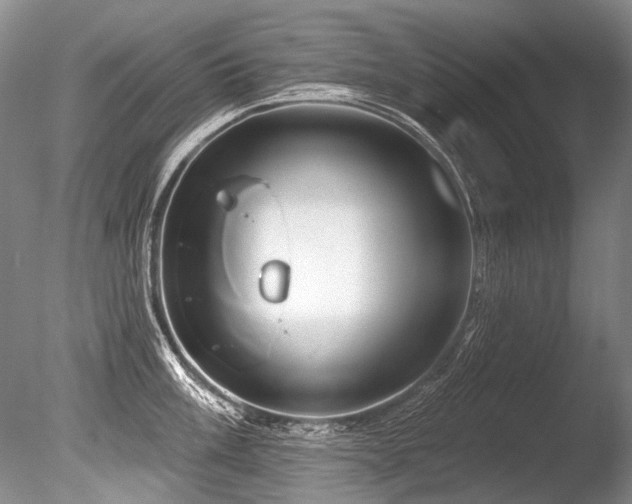 X0000086321003200703301213