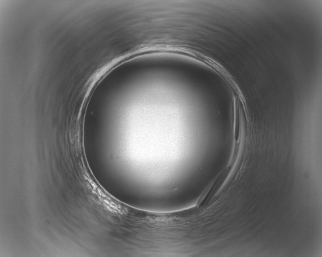 X0000086321004200703301213