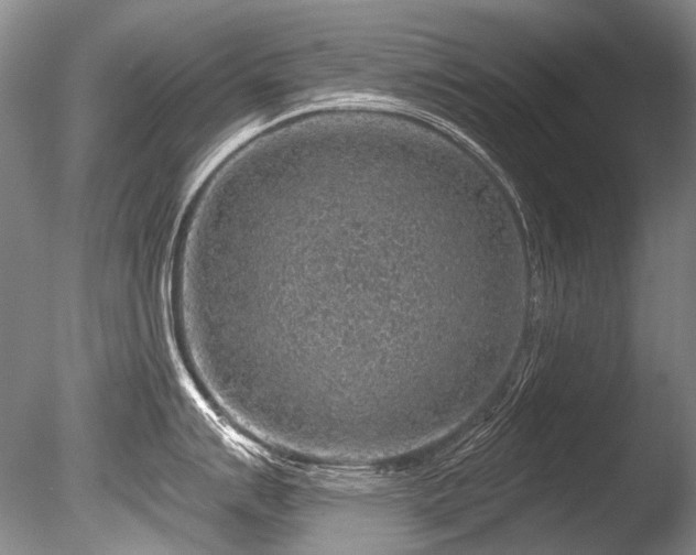 X0000086321007200703301213