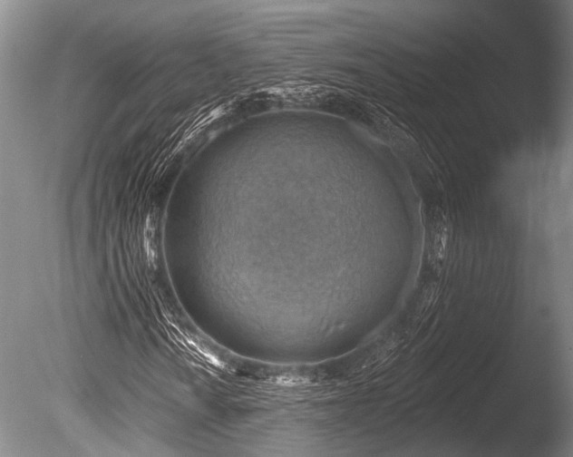 X0000086321010200703301212
