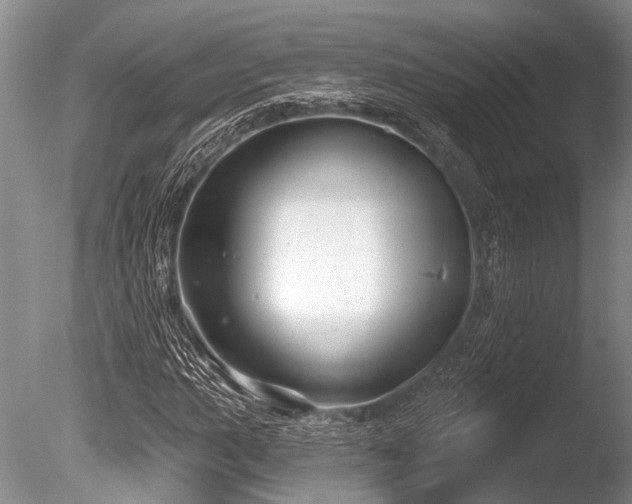 X0000086321015200703301212