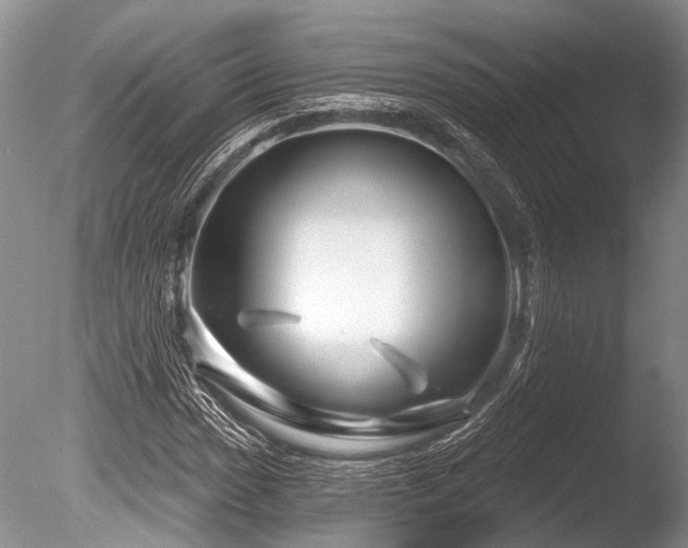 X0000086321017200703301212