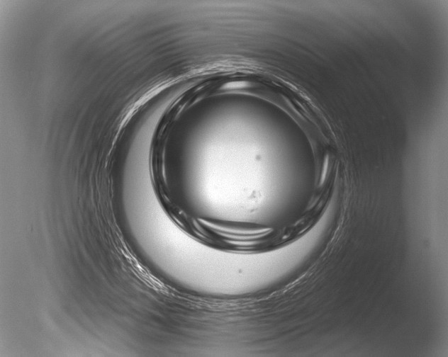 X0000086321018200703301212