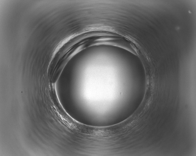 X0000086321022200703301212