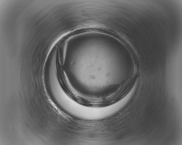 X0000086321024200703301212