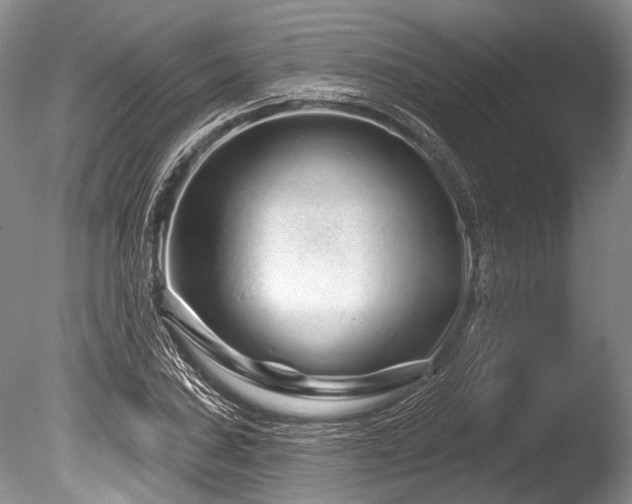 X0000086321027200703301212