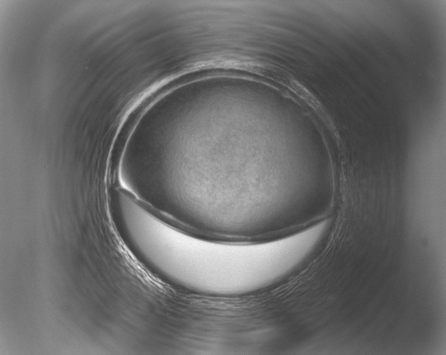 X0000086321028200703301212
