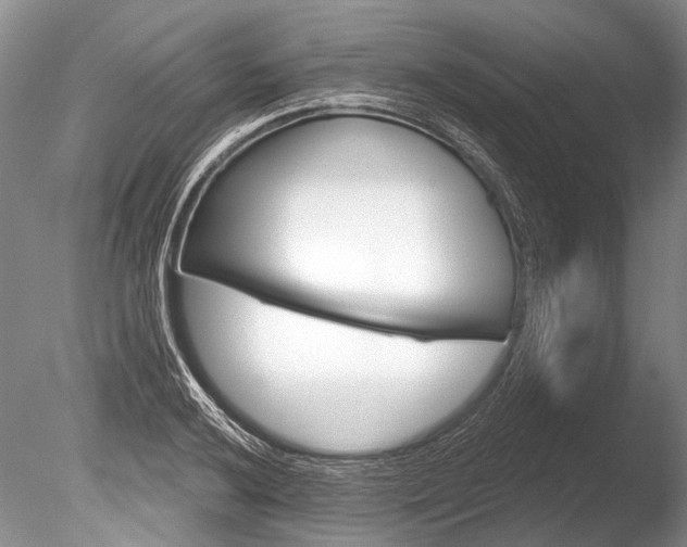X0000086321032200703301212