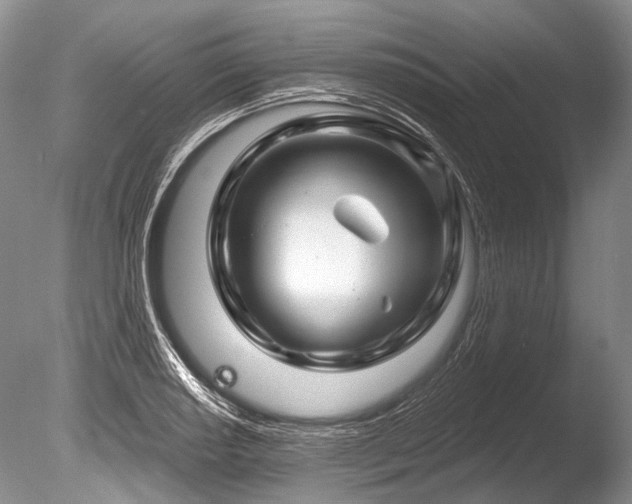 X0000086321034200703301212