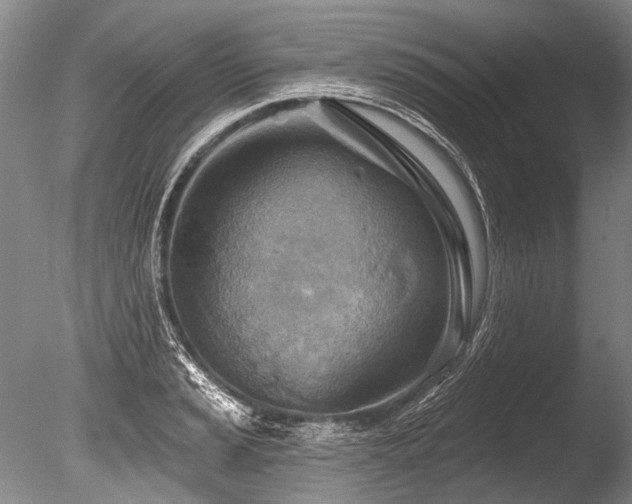 X0000086321037200703301212